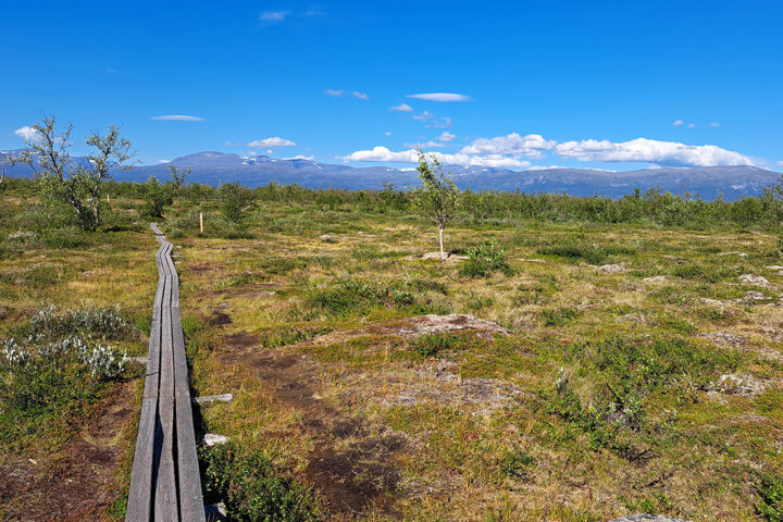 vandring spång 1100×733
