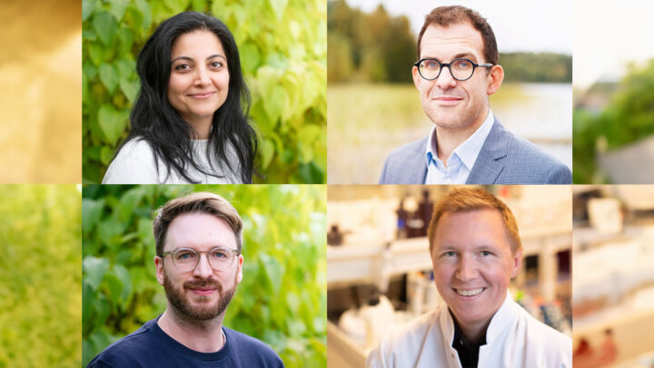 kollage_elham_johanz_michael_petter