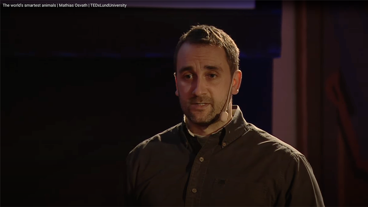 Mathias Osvath talar på scen med headset