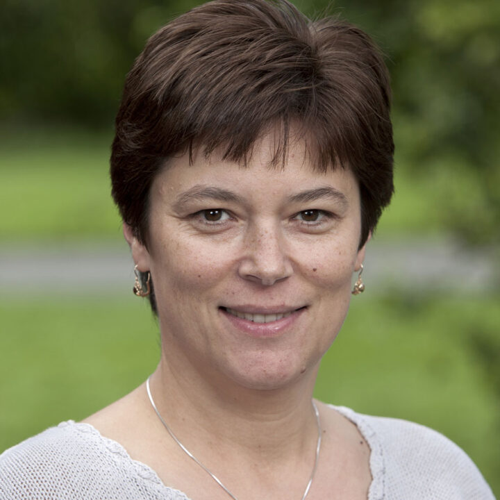 Sveriges Unga Akademi