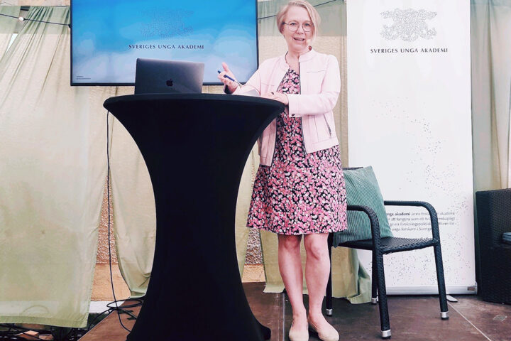 Almedalen. Foto: SUA