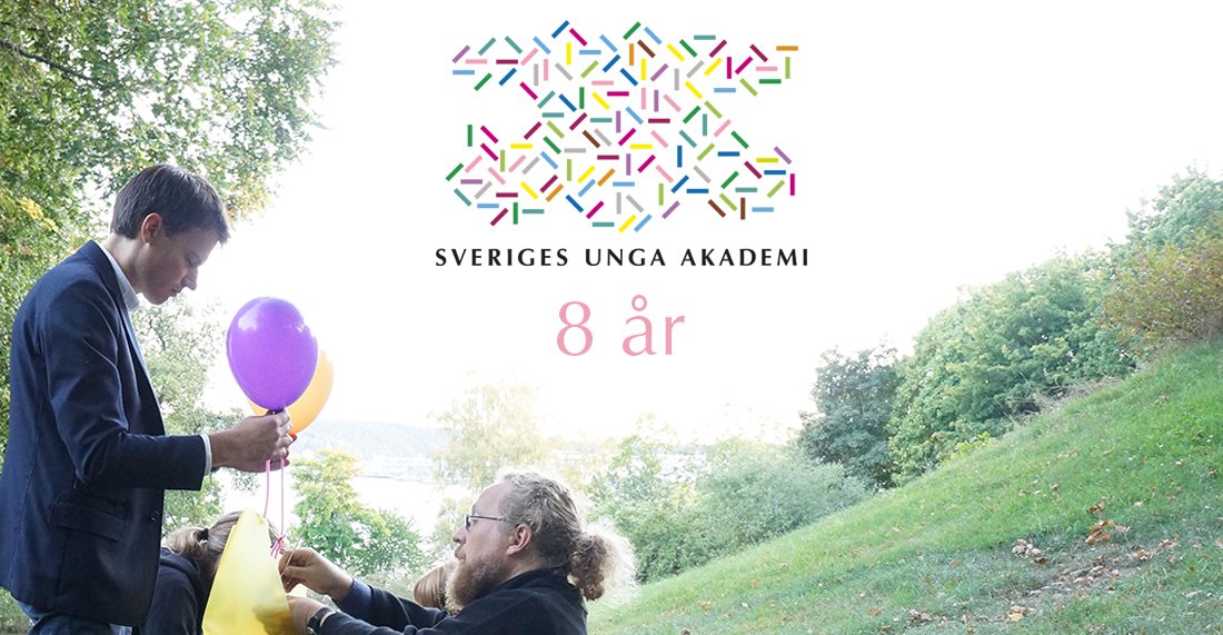 SUA 8 år