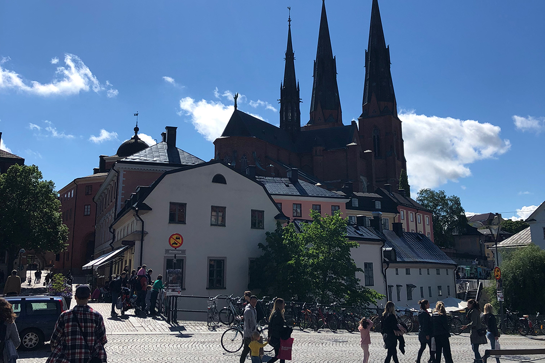 Årsdag 2019 Foto: Sveriges unga akademi