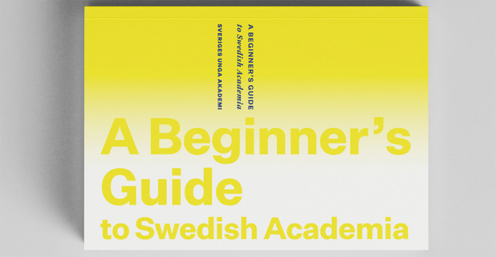 Cover Beginner's Guide to Swedish Academia