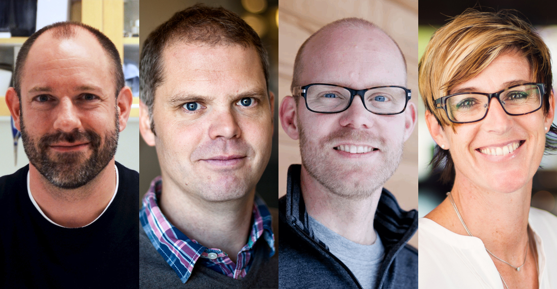 Christian Broberger, Fredrik Bäckhed, Örjan Carlborg och Helena Sandberg