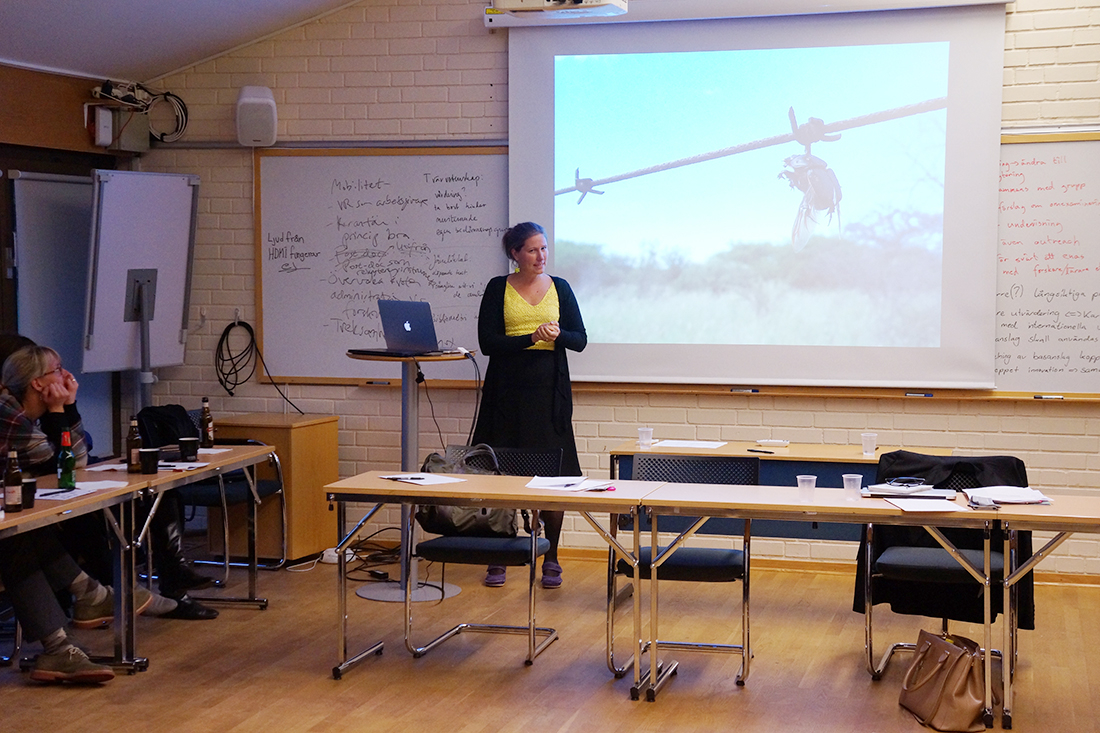 Marie Dacke Foto: Annika Moberg