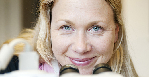 Helena Filipsson