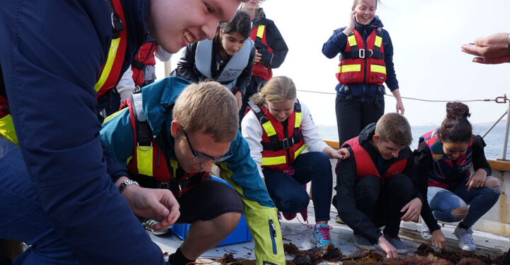 Guidad båttur på Gullmarsfjorden Foto: Annika Moberg/Sveriges unga akademi