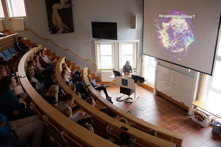 Josefin Larsson föreläser. Foto: Sveriges unga akademi