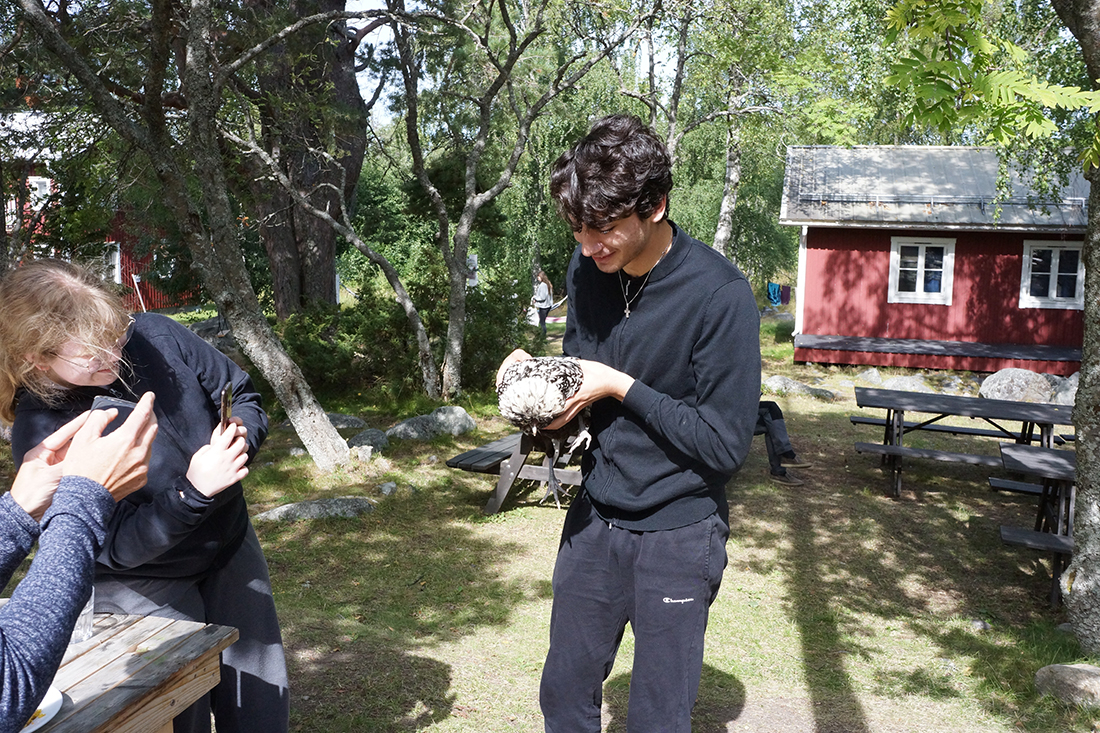 Labb på Curiosum. Foto: SUA