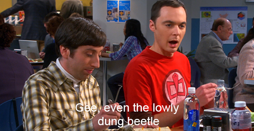 The Big Bang Theory Photo: Warnerbros/CBS