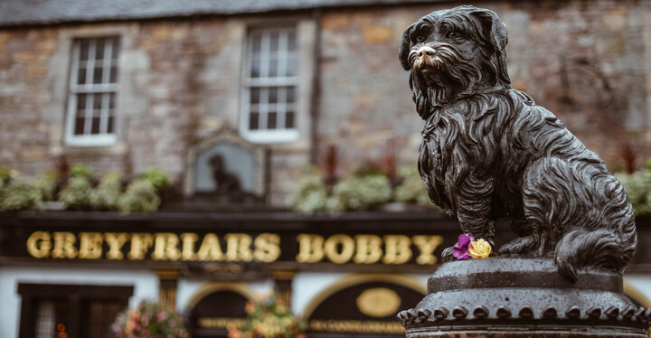 Foto: Jamie Wheeler Unsplash