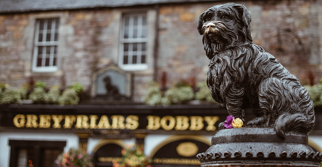 Foto: Jamie Wheeler Unsplash