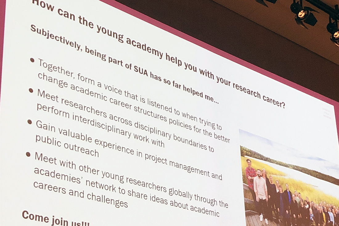 Career seminar. Photo: YAS