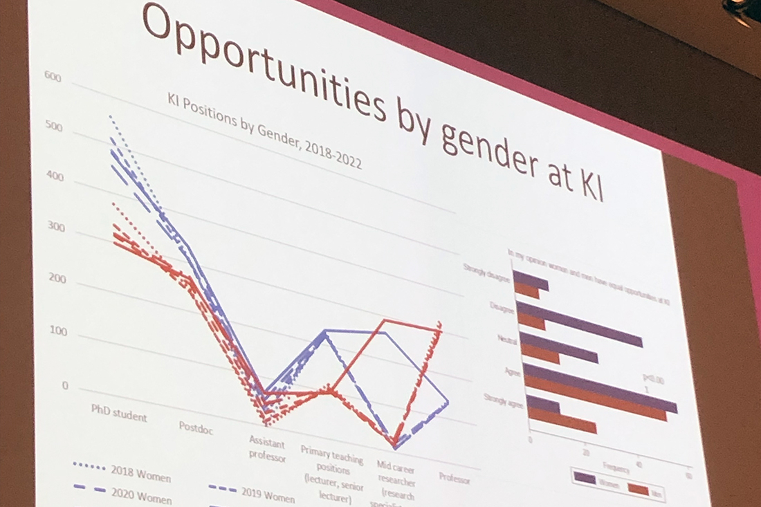 Career seminar. Photo: YAS