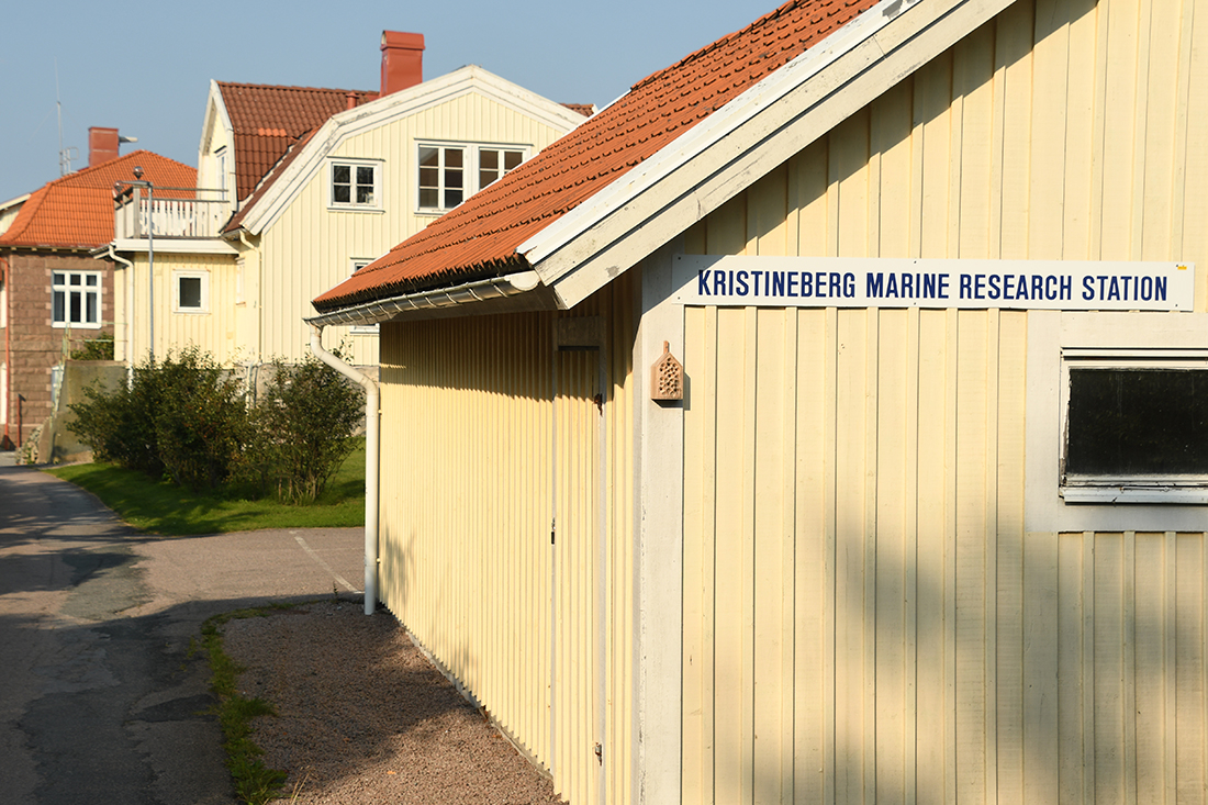 Forskarmöten