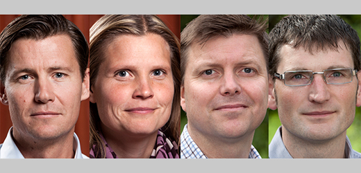 Artikelförfattare
