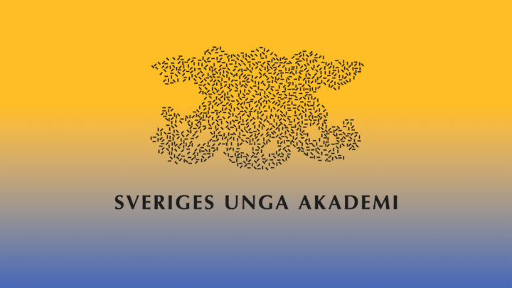SUA logo