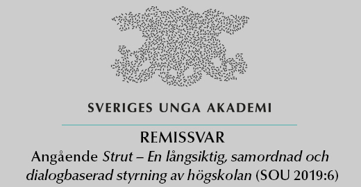 Remissvar Strut