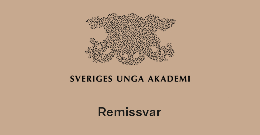 Remissvar