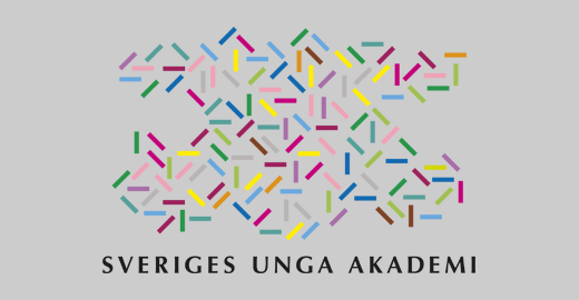 SUA logo