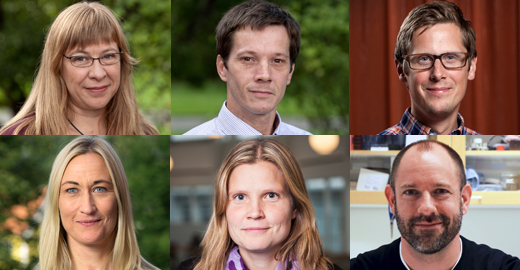 Författare debattartikel