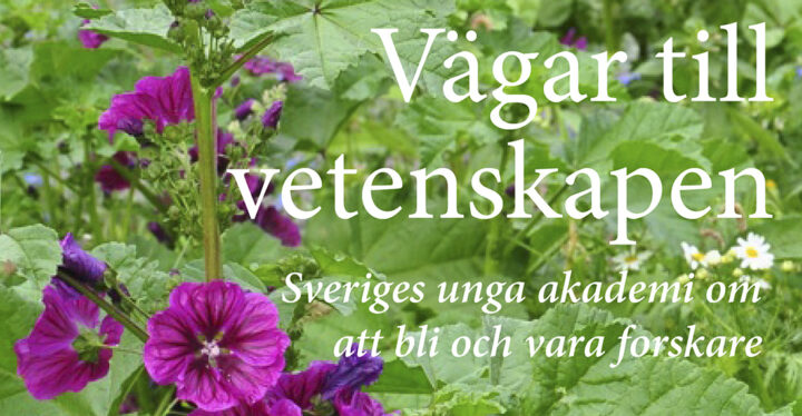 Vägar till vetenskapen