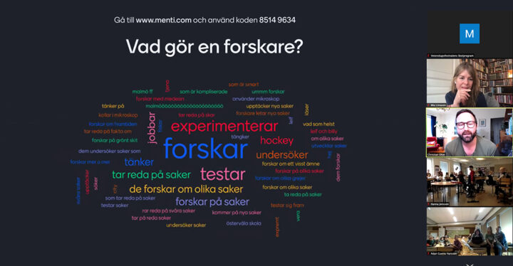 Vad gör en forskare? Ordmoln