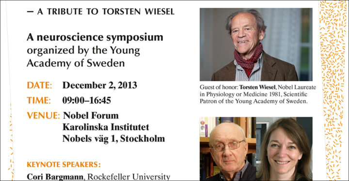 Visions of the Brain