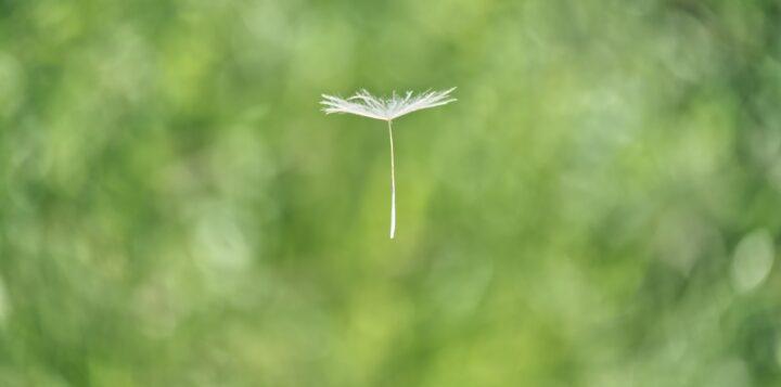 wolfgang-hasselmann-GK9kkPIZyAs-unsplash