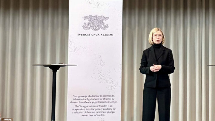 birgitta-bergvall-kareborn