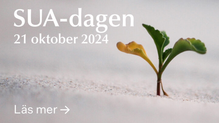 sua-dagen-2024-hero-5