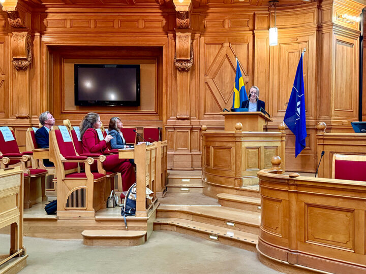 sofia lodén talar i riksdagens förstakammare